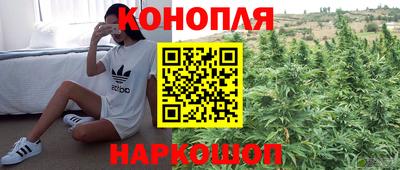 гидропоника Пыть-Ях