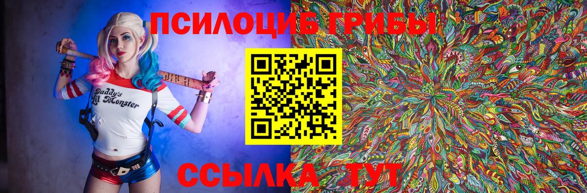 Псилоцибиновые грибы прущие грибы  Псилоцибиновые грибы мицелий  Чапаевск  Вход с VPN 